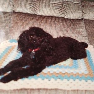 Meet your Posher, June